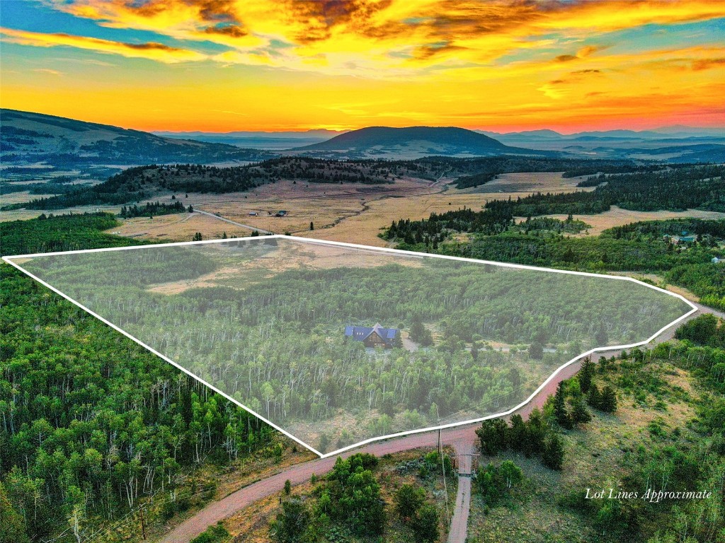 70 Sheep Creek Trail Fairplay CO 80440