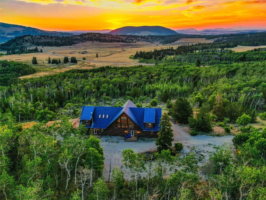 70 Sheep Creek Trail Fairplay CO 80440