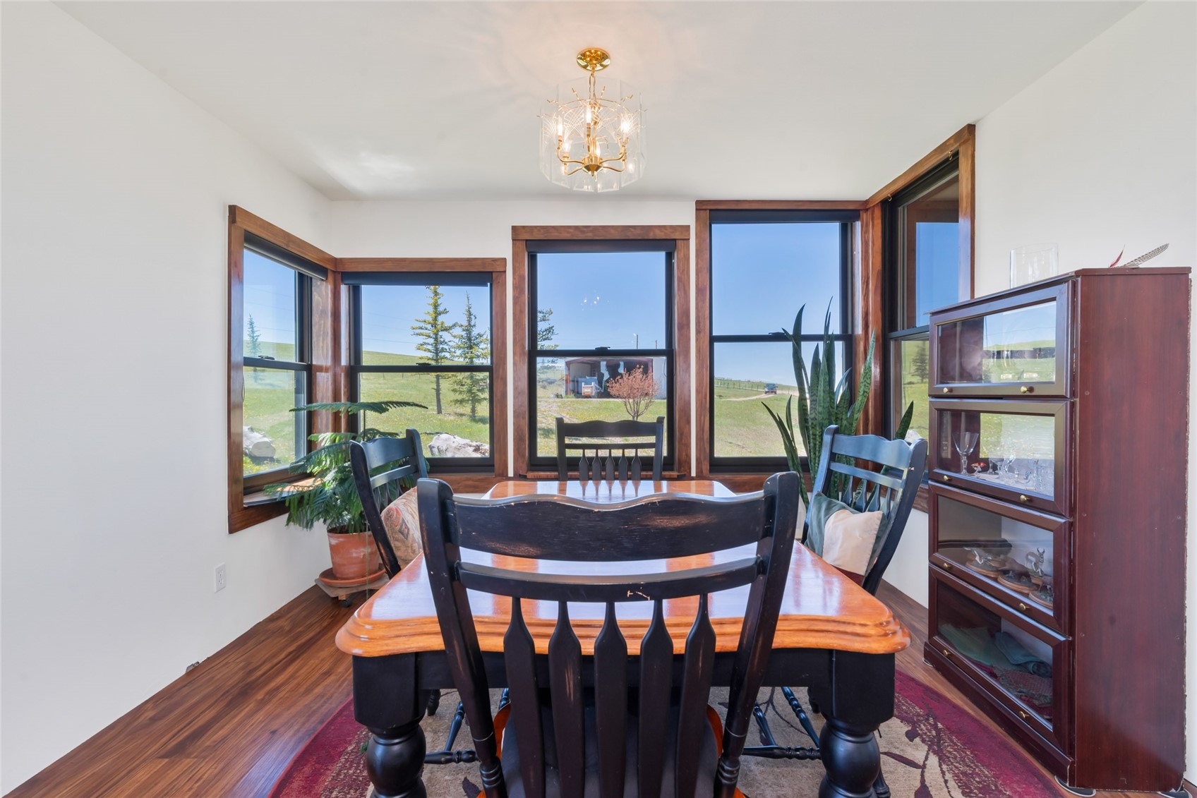 42255 Lookout Lane Hayden CO 81639