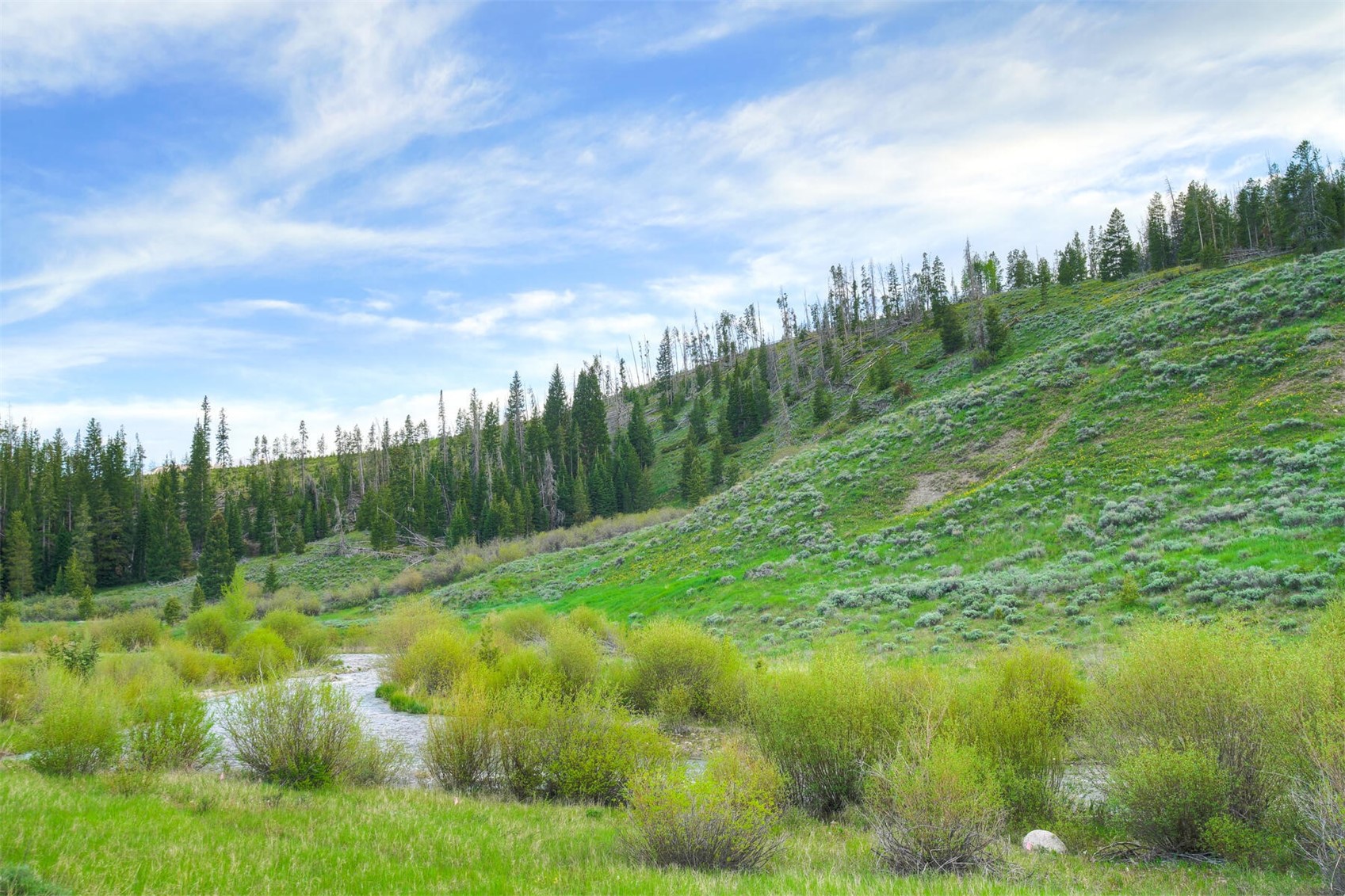 17 Monitor Drive Breckenridge CO 80424