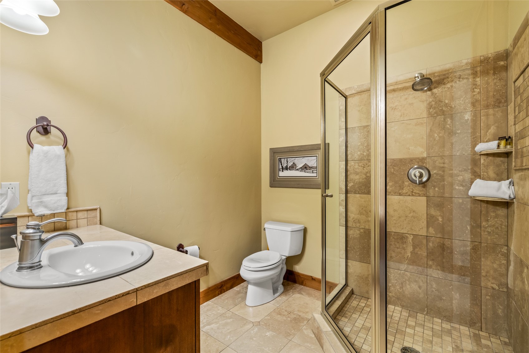 1331 Turning Leaf Court Steamboat Springs CO 80487