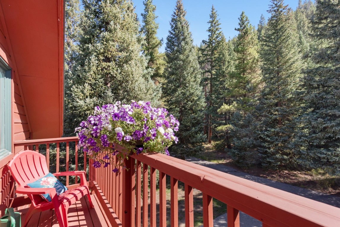 189 Ginger Quill Lane Breckenridge CO 80424