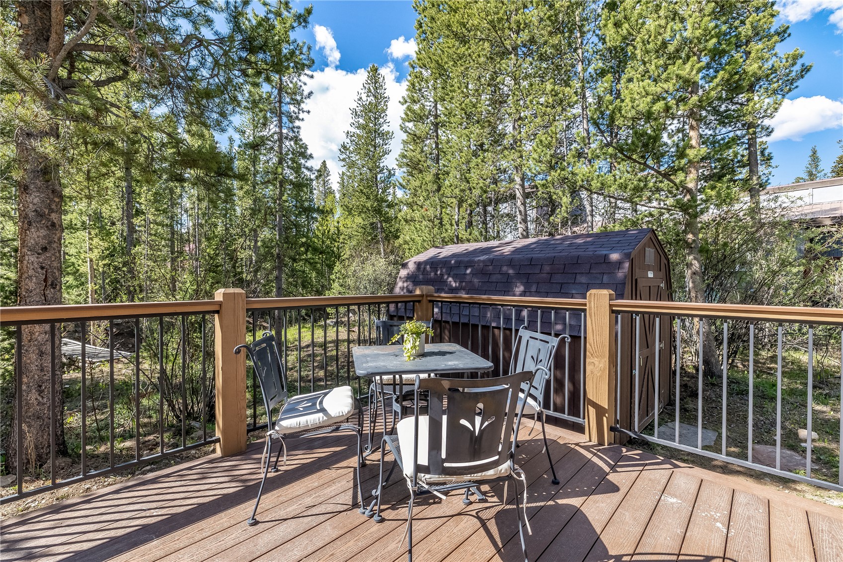 248 American Way Breckenridge CO 80424