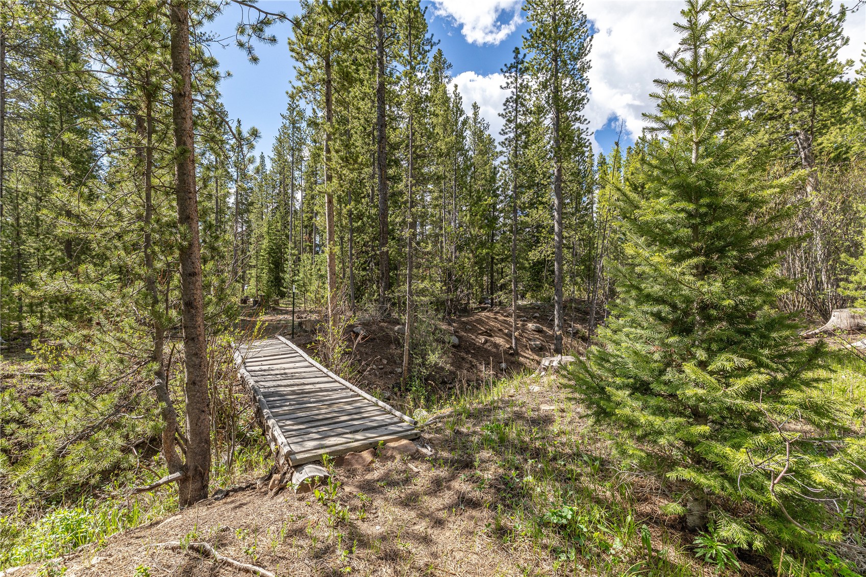 248 American Way Breckenridge CO 80424