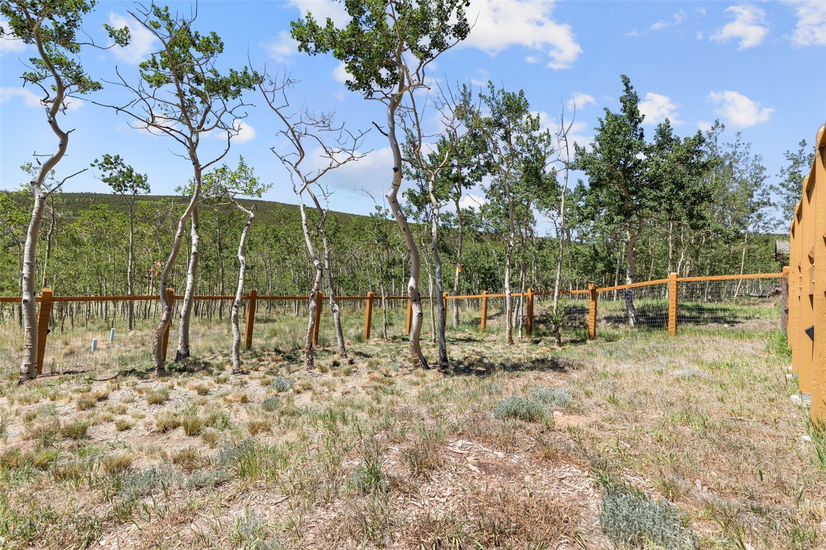 108 Sheep Ridge Road Fairplay CO 80440
