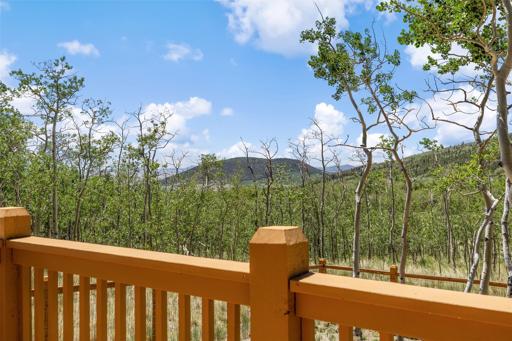 108 Sheep Ridge Road Fairplay CO 80440