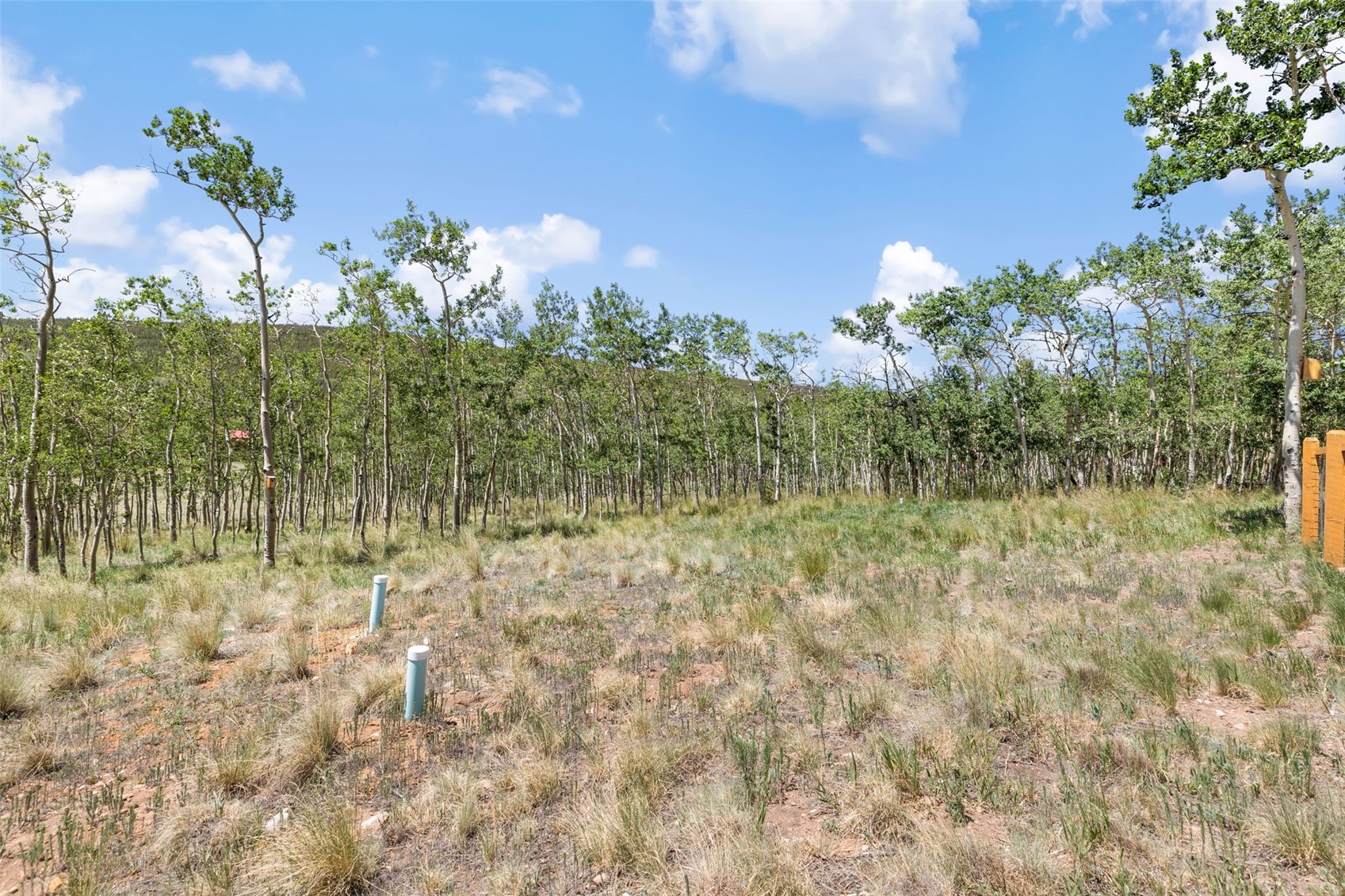 108 Sheep Ridge Road Fairplay CO 80440