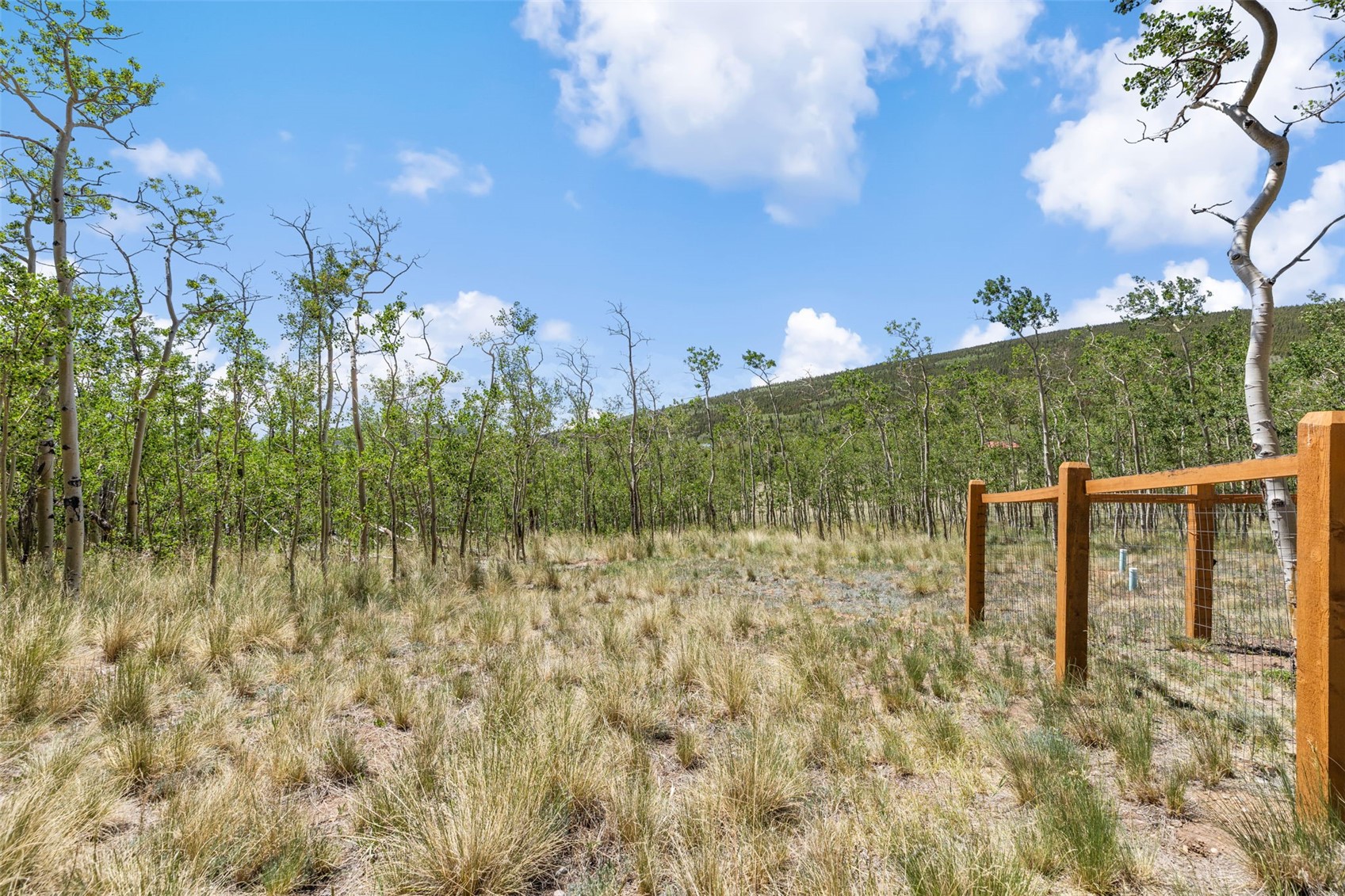 108 Sheep Ridge Road Fairplay CO 80440