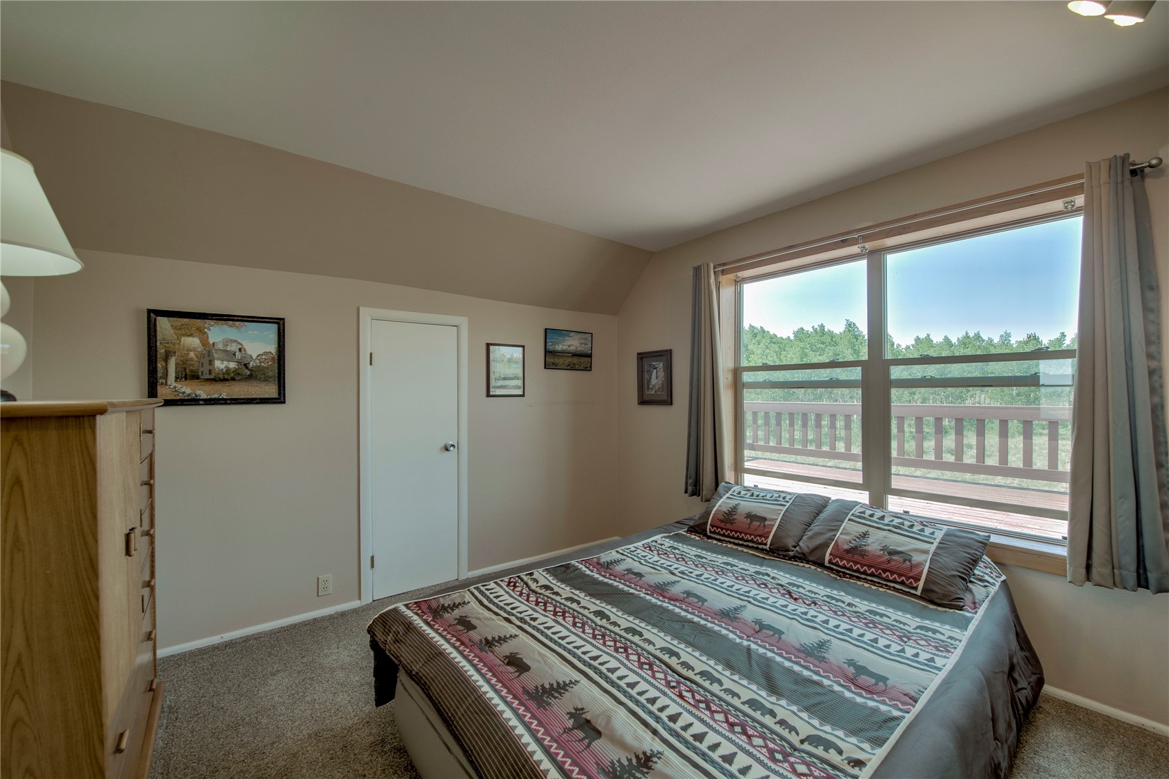 653 Vine Road Fairplay CO 80440