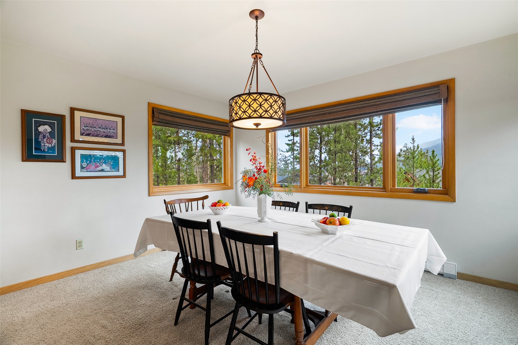 126 Snowberry Way Dillon CO 80435