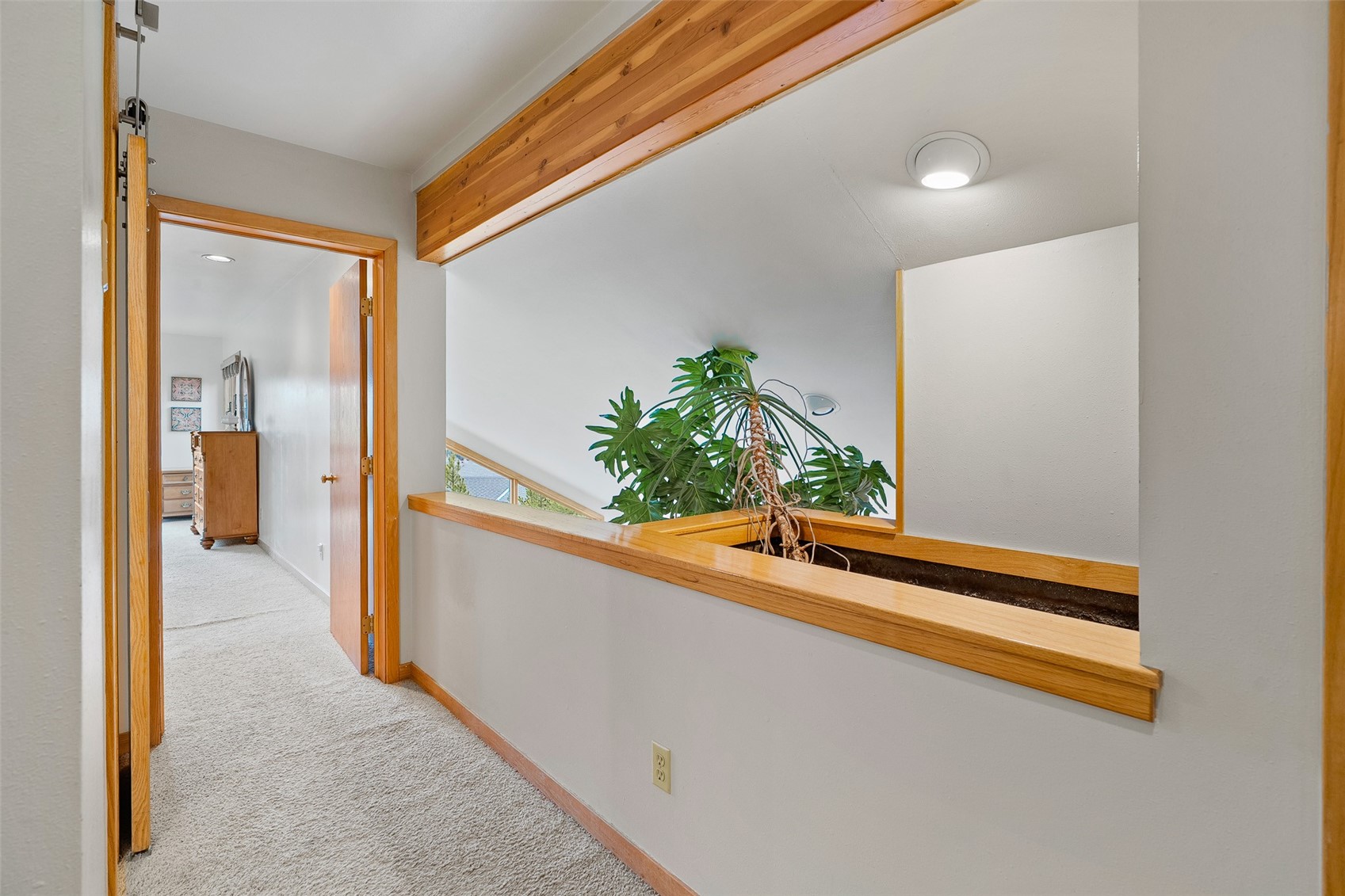 126 Snowberry Way Dillon CO 80435