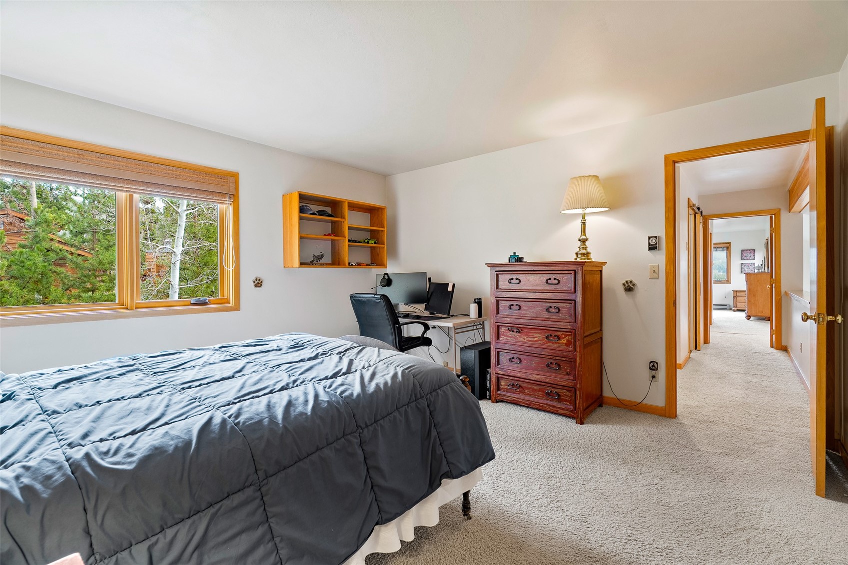 126 Snowberry Way Dillon CO 80435