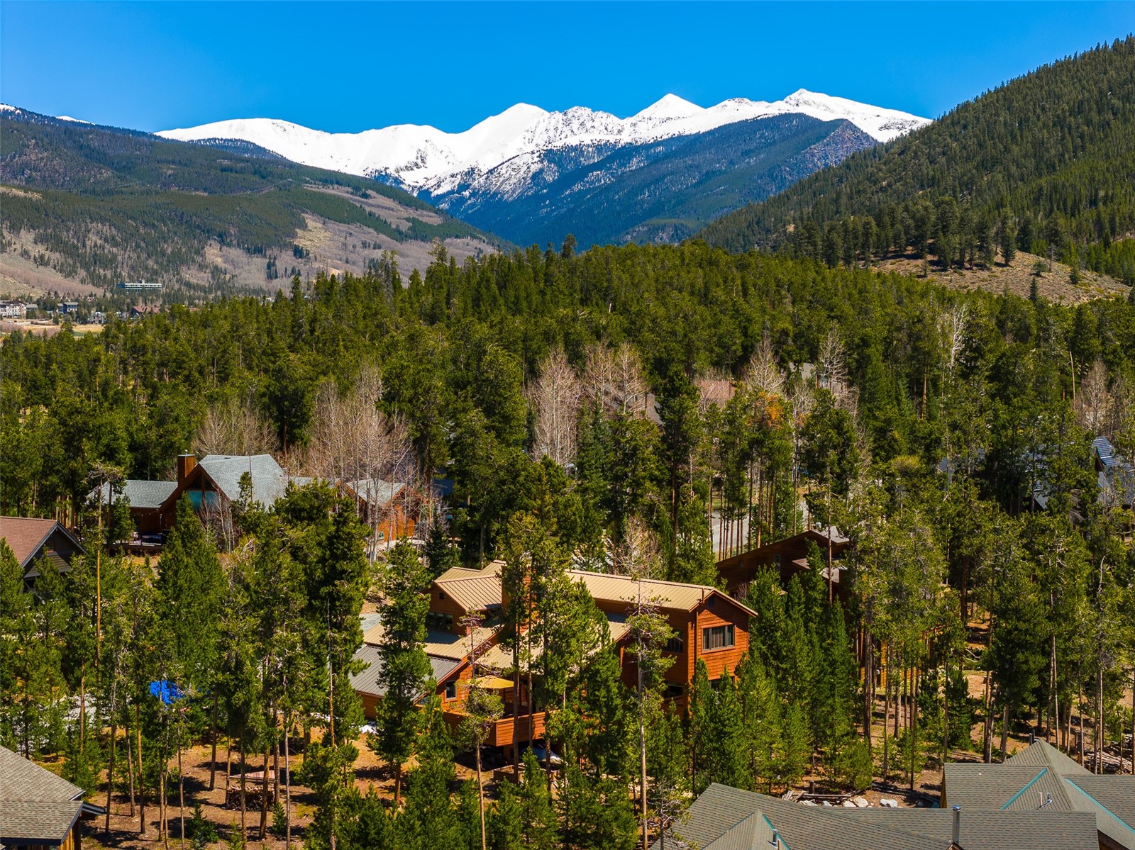 126 Snowberry Way Dillon CO 80435
