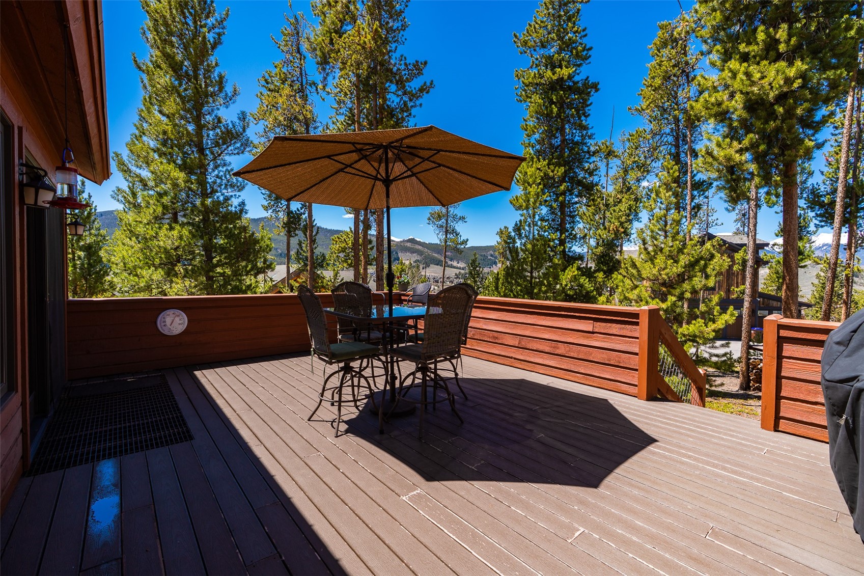 126 Snowberry Way Dillon CO 80435