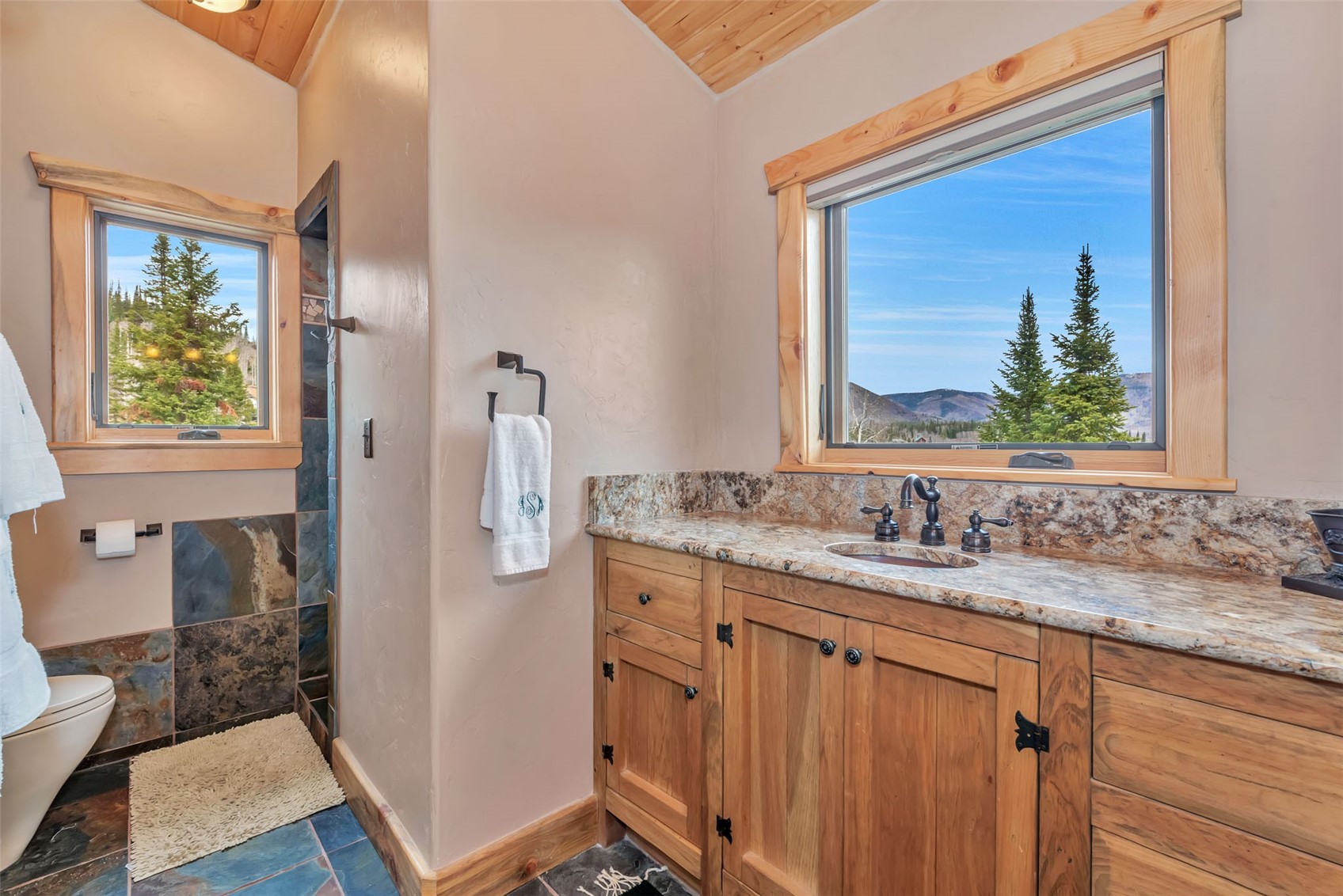 26755 Little Hawk Lane Clark CO 80428