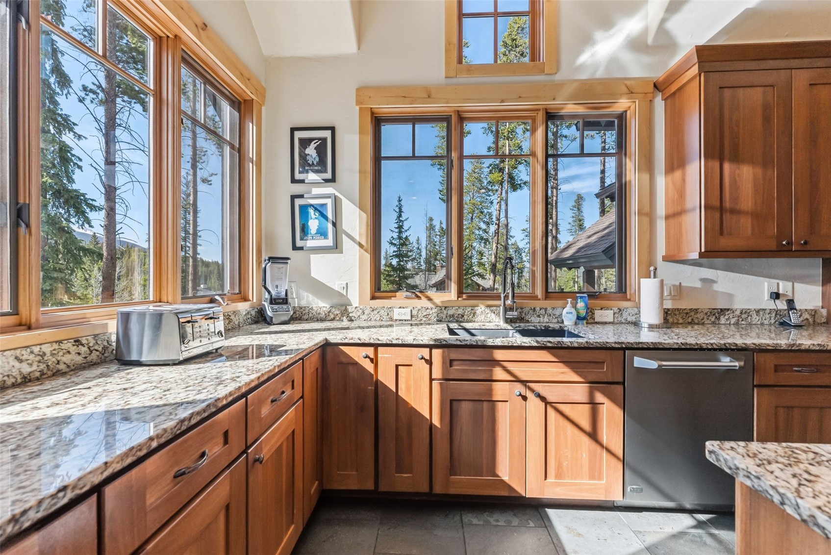 67 North Woods Lane Breckenridge CO 80424