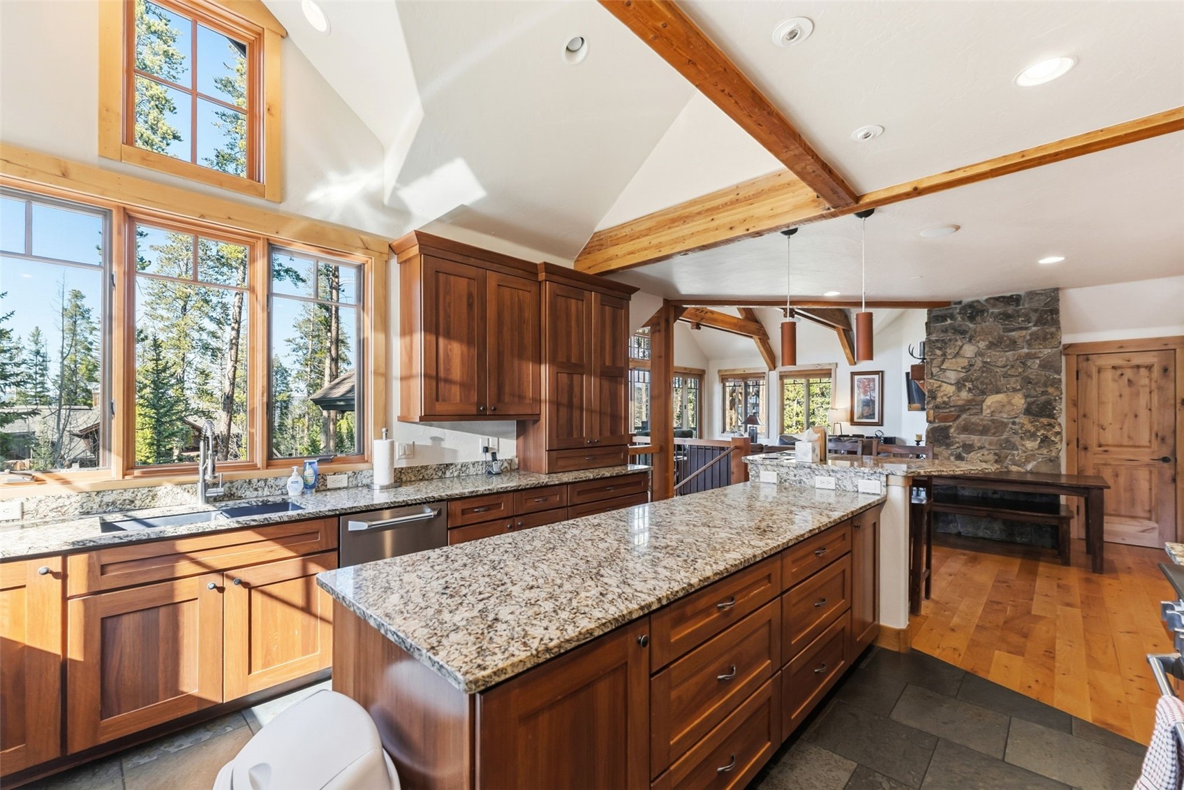 67 North Woods Lane Breckenridge CO 80424