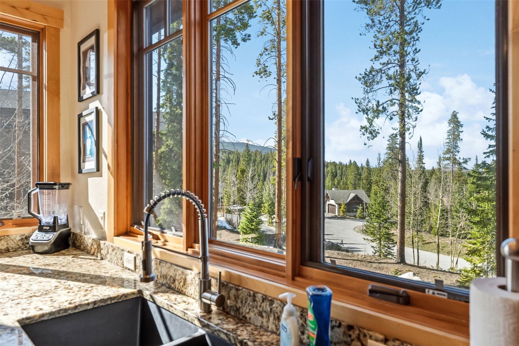 67 North Woods Lane Breckenridge CO 80424