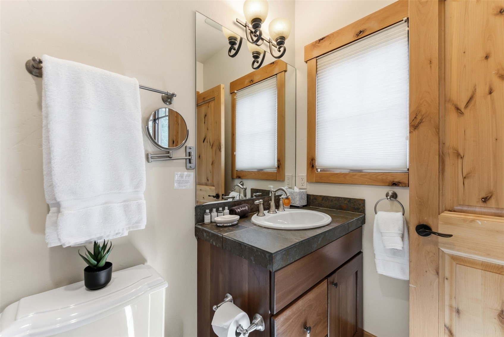 67 North Woods Lane Breckenridge CO 80424