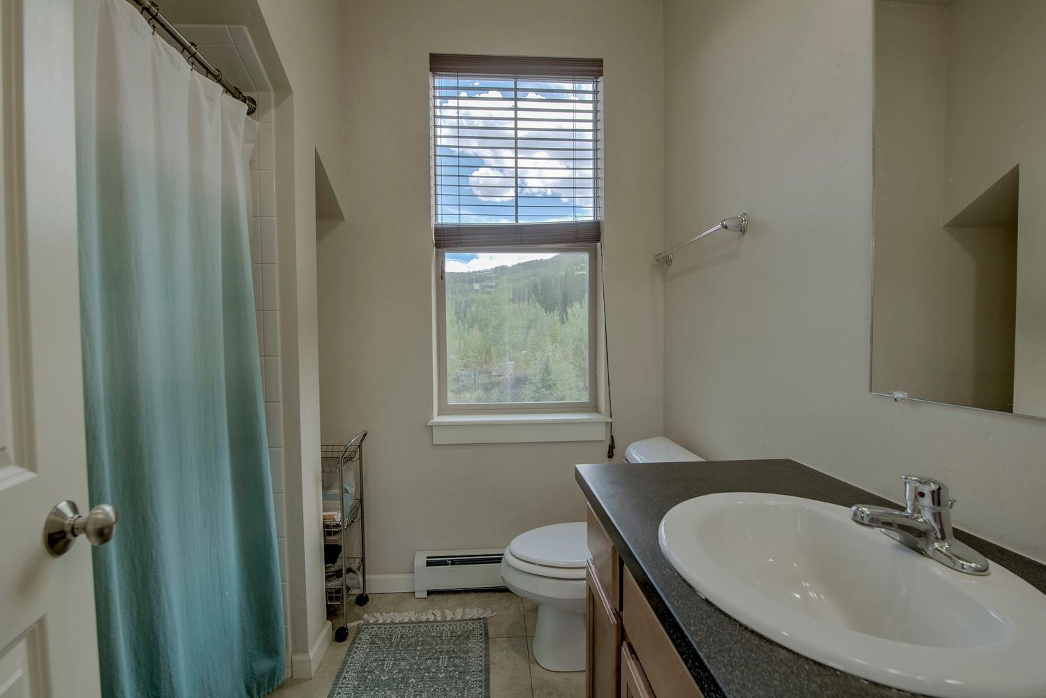 6 S Cabin Green Frisco CO 80443