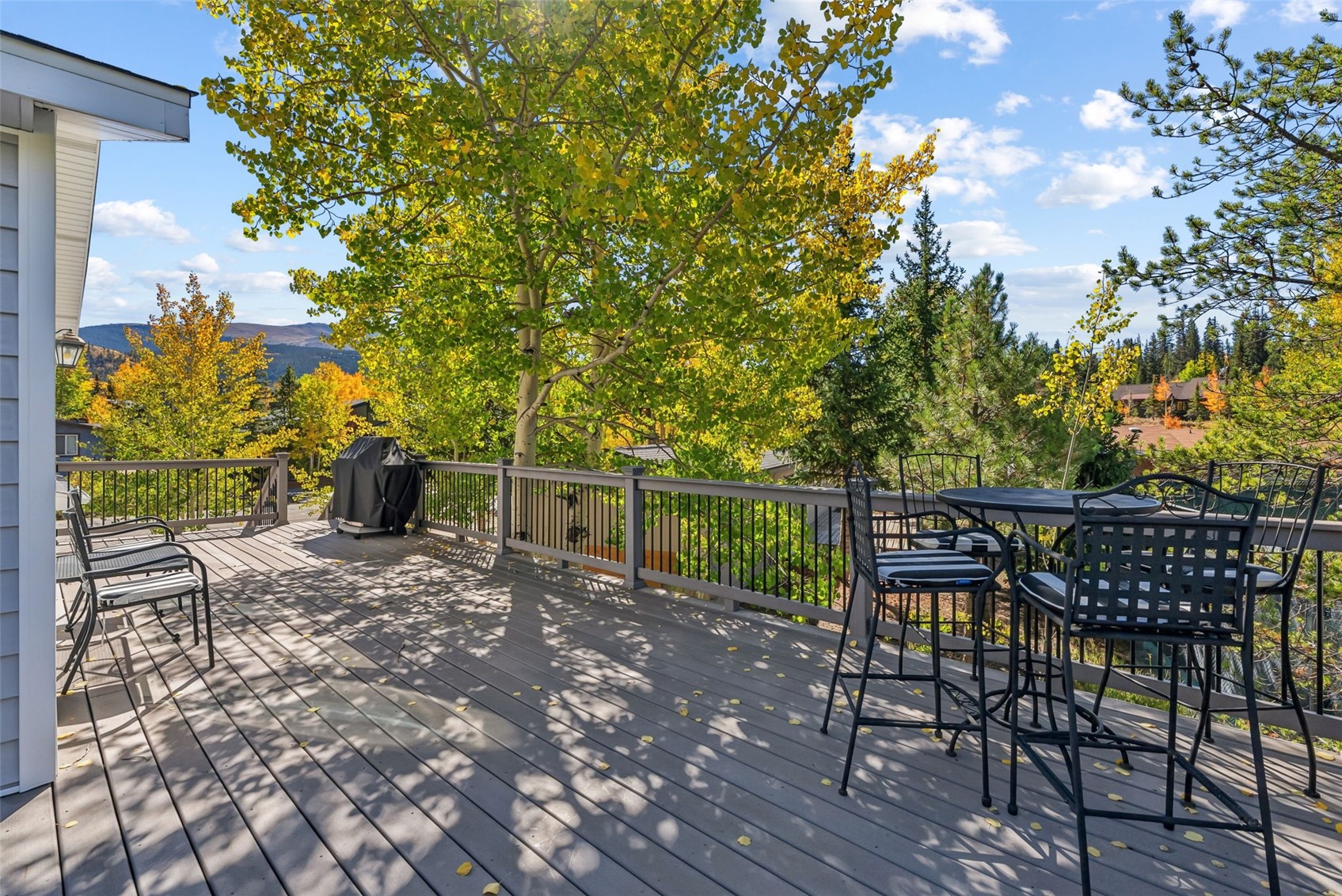 134 Gold Run Circle Breckenridge CO 80424