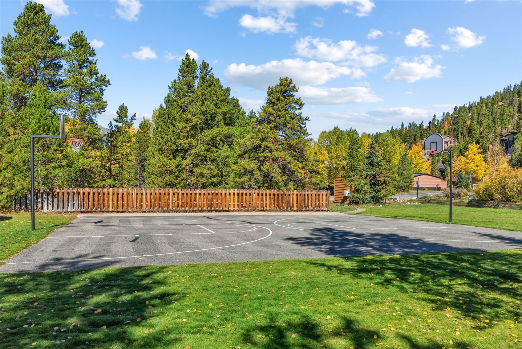 134 Gold Run Circle Breckenridge CO 80424