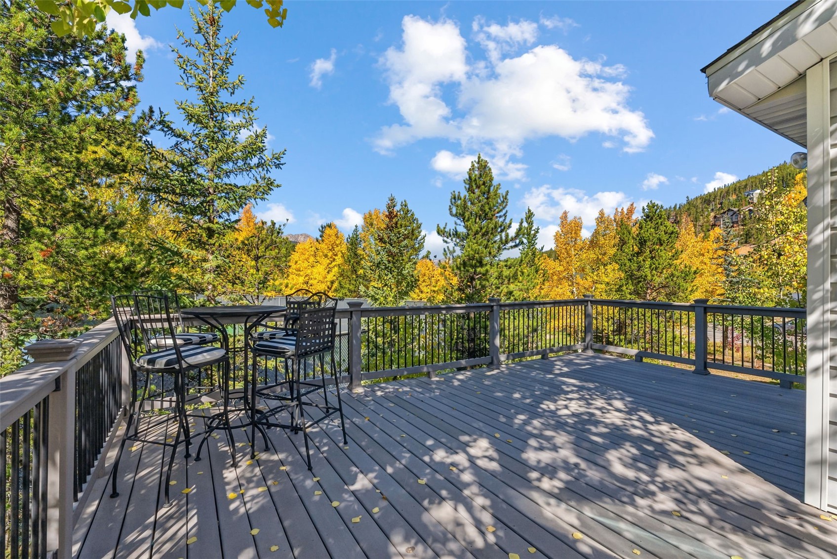 134 Gold Run Circle Breckenridge CO 80424