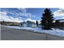 305 Chestnut Street Leadville CO 80461