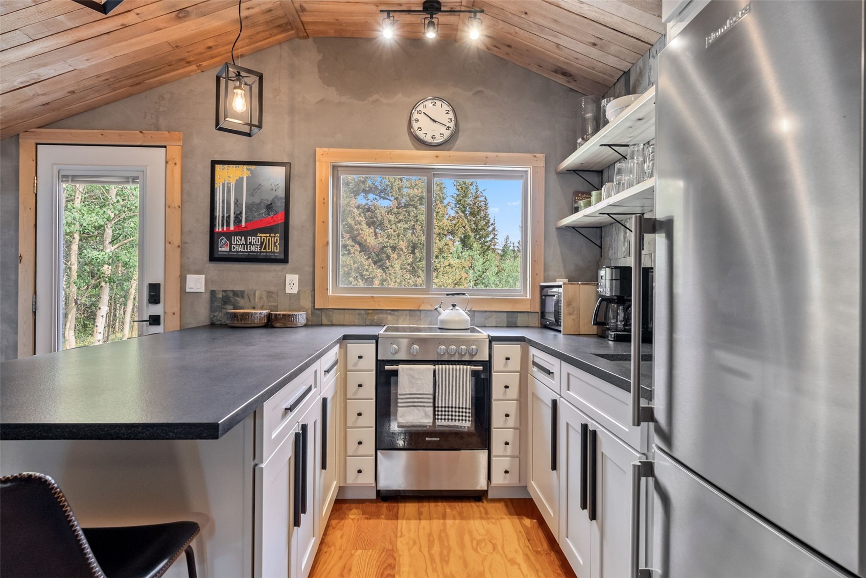 932 Peterson Drive Alma CO 80420