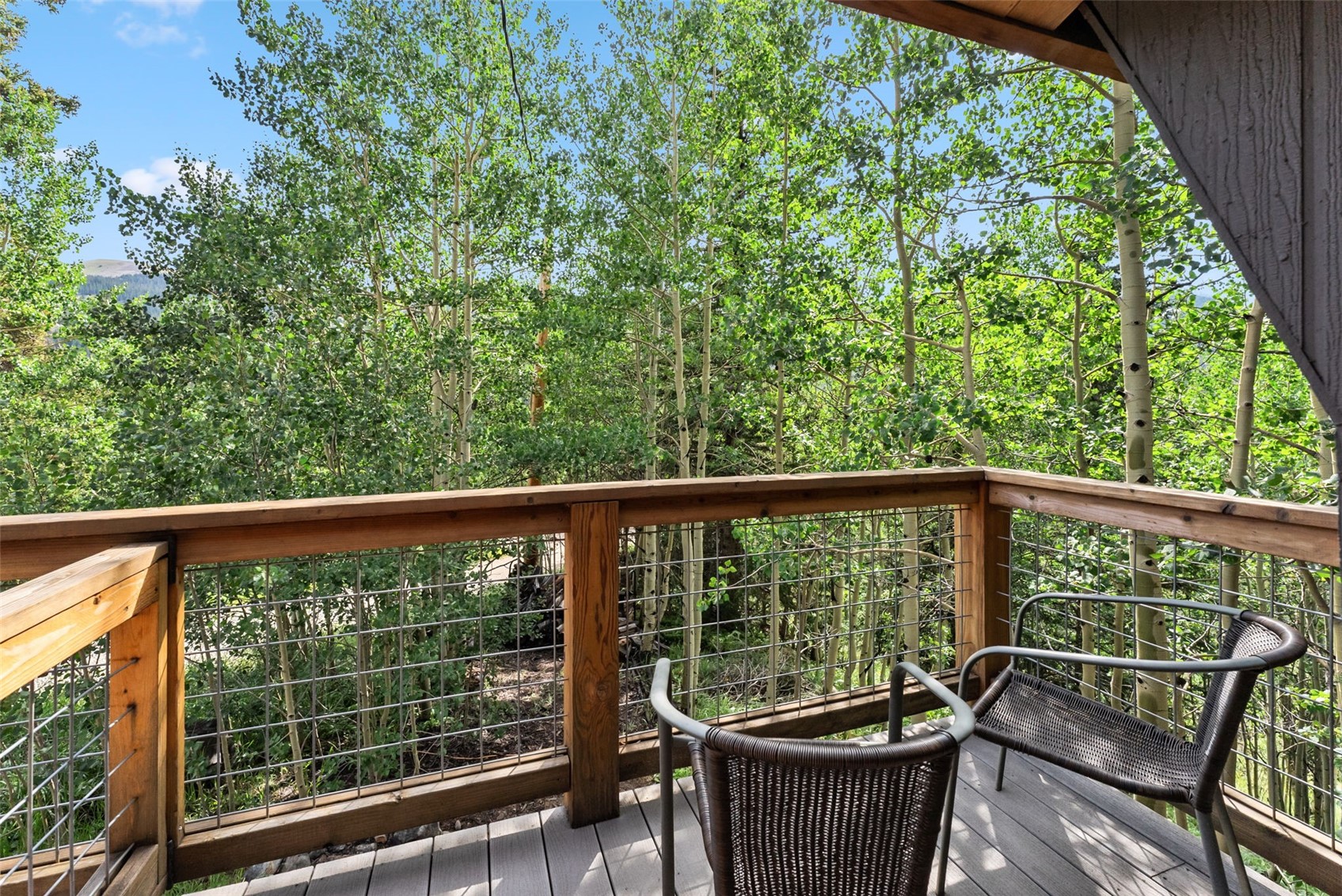 932 Peterson Drive Alma CO 80420