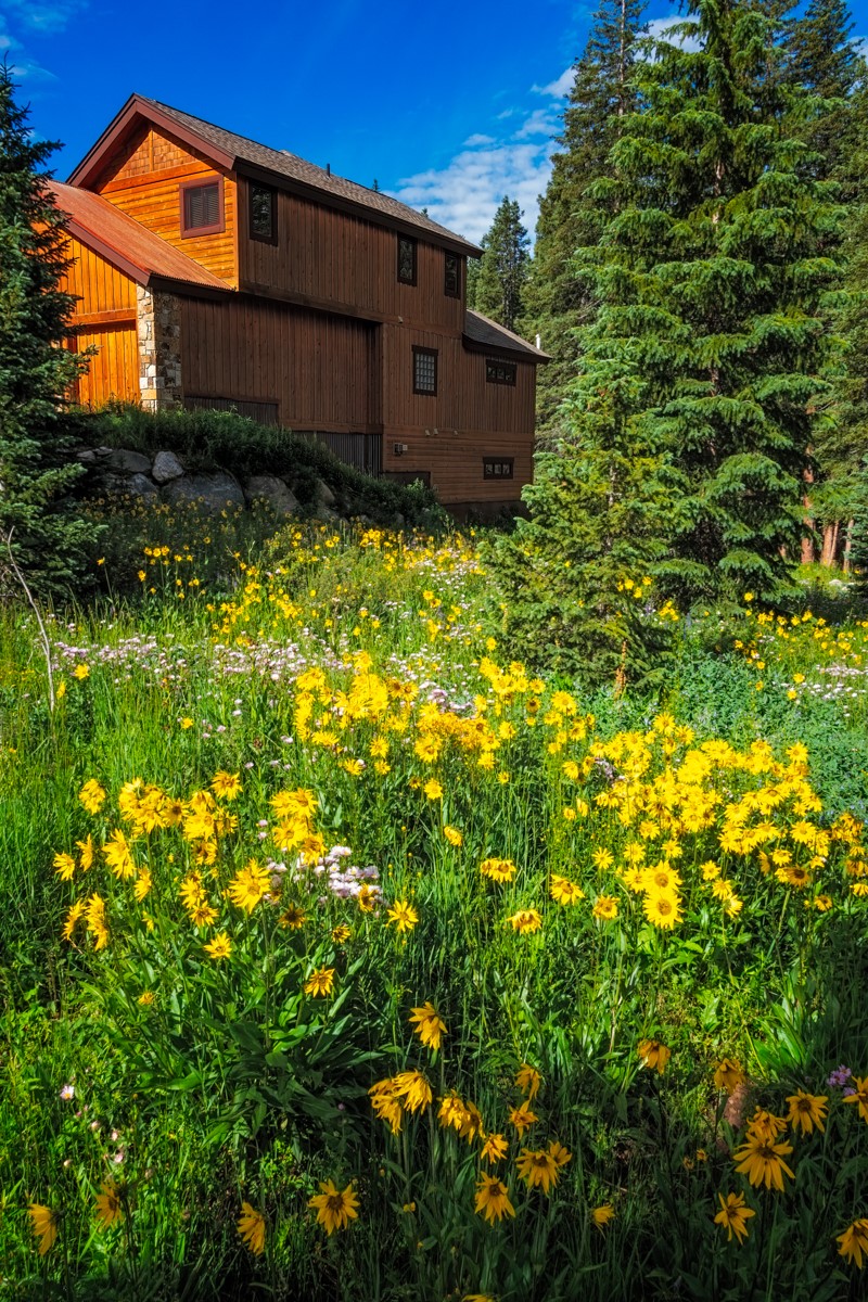 280 Whispering Pines Circle Breckenridge CO 80424