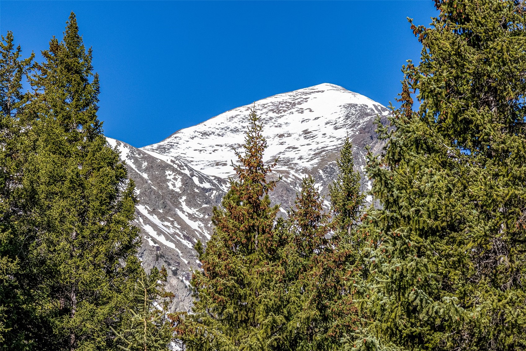 280 Whispering Pines Circle Breckenridge CO 80424