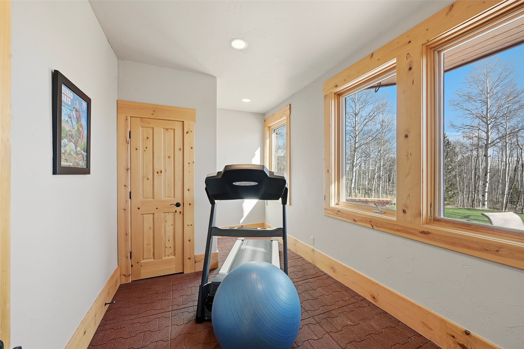 252 Iron Mountain Road Fairplay CO 80440