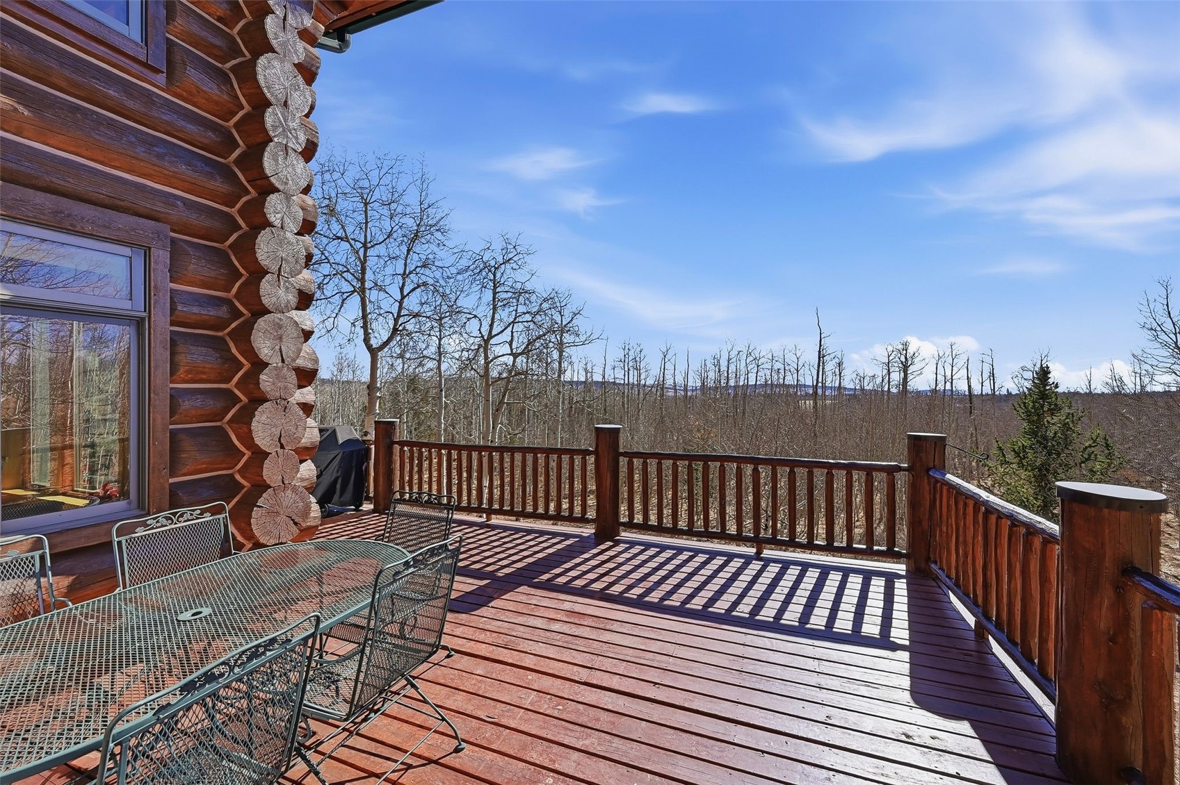 252 Iron Mountain Road Fairplay CO 80440