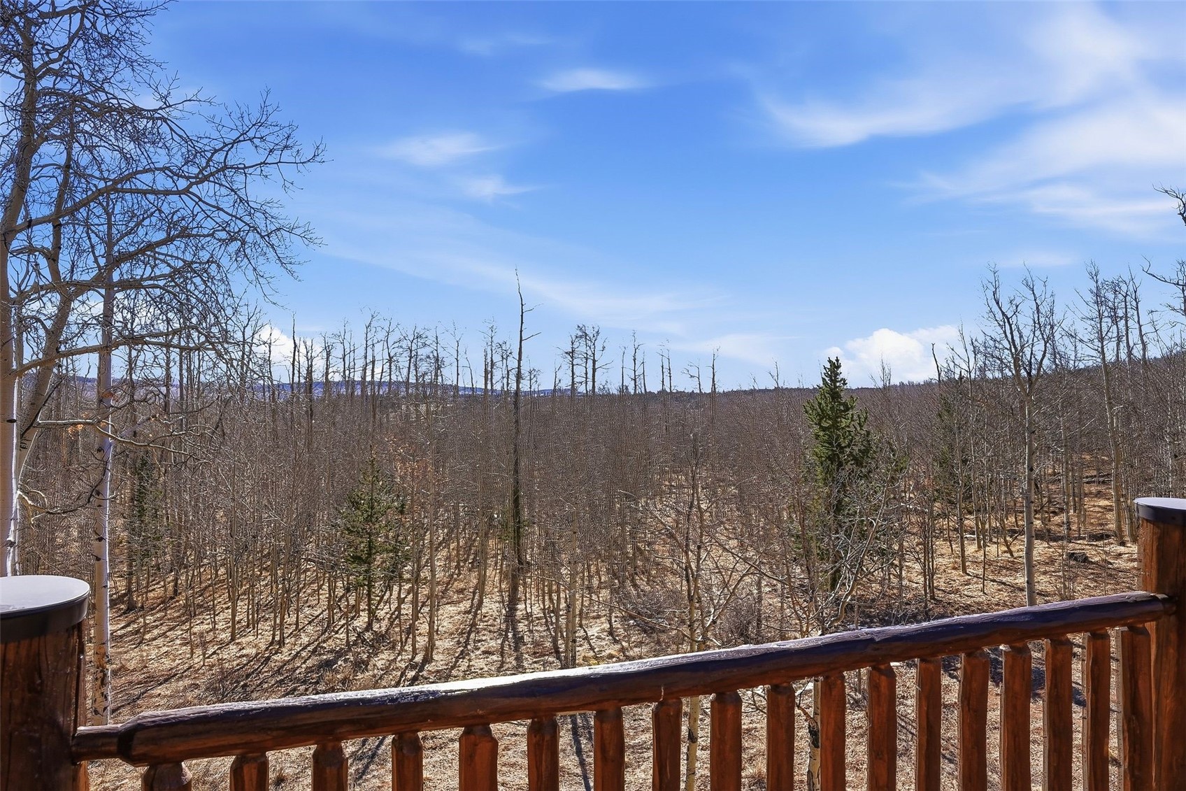 252 Iron Mountain Road Fairplay CO 80440
