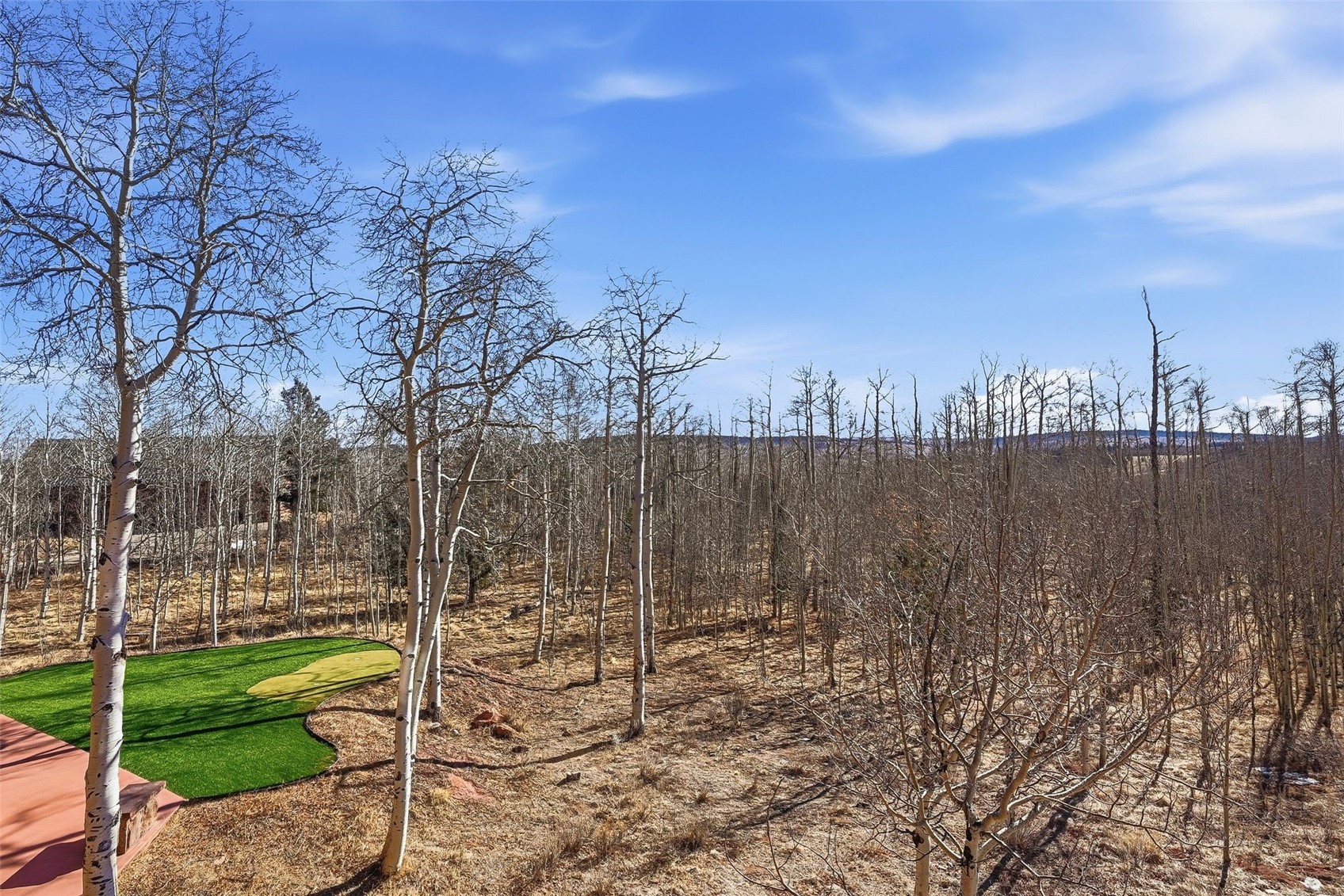 252 Iron Mountain Road Fairplay CO 80440