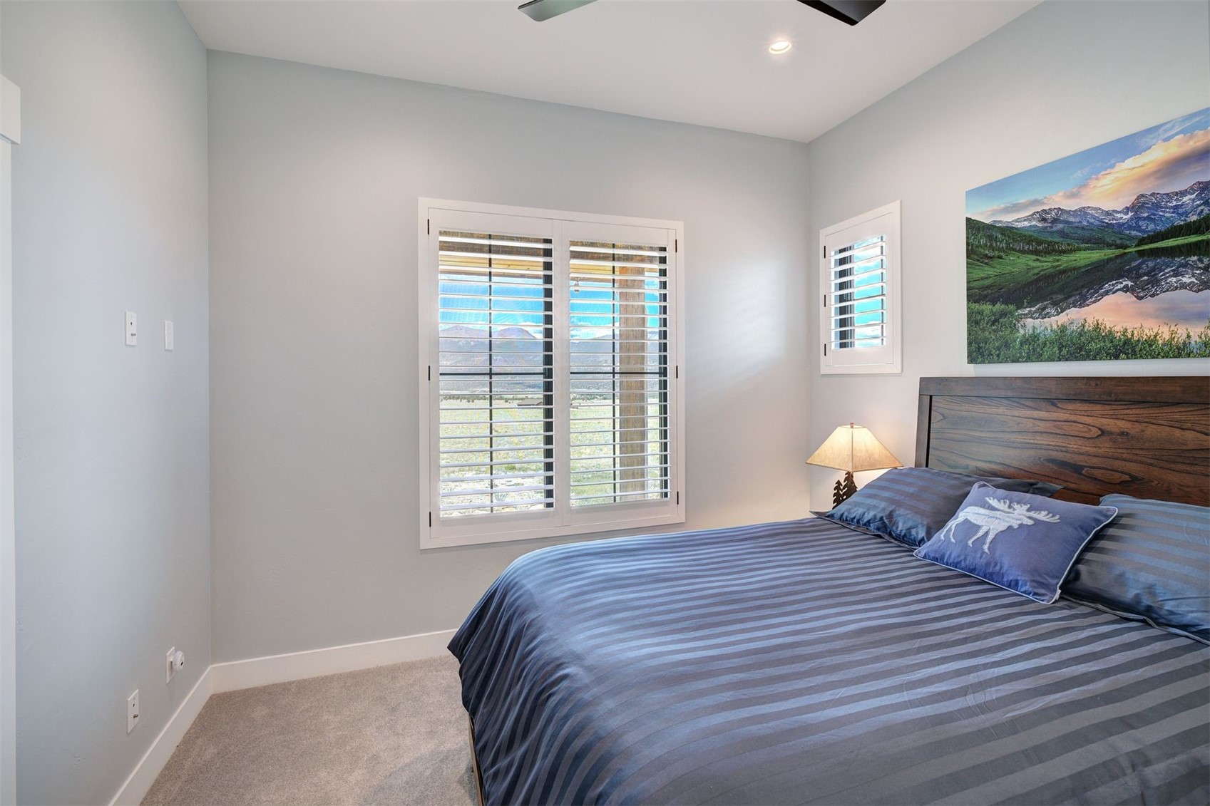 31307 Great Peaks Drive Buena Vista CO 81211