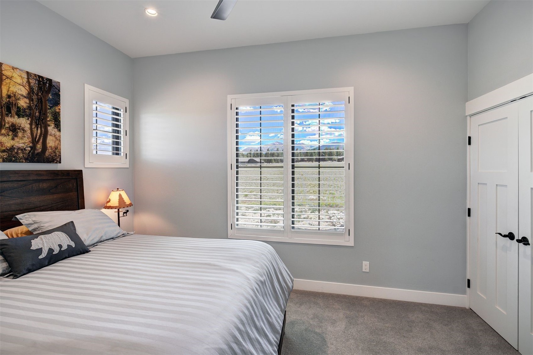 31307 Great Peaks Drive Buena Vista CO 81211