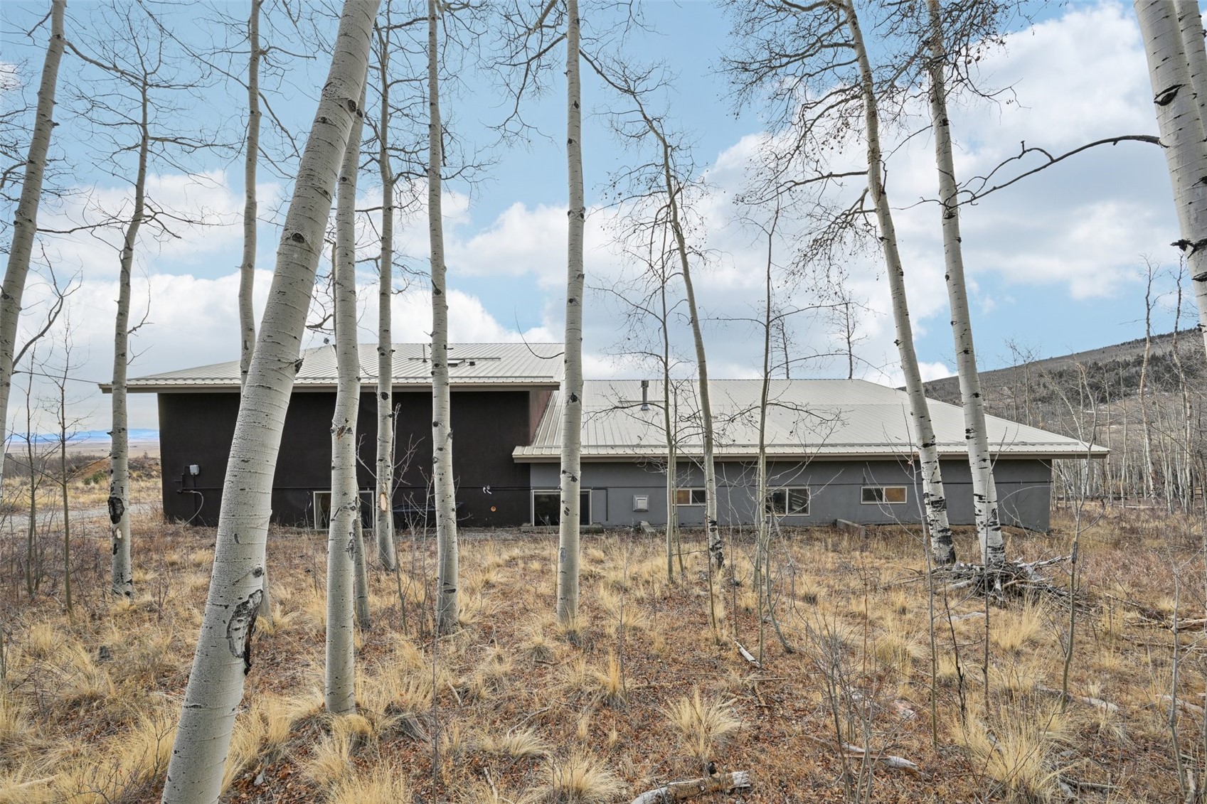 1499 Sheep Ridge Road Fairplay CO 80440