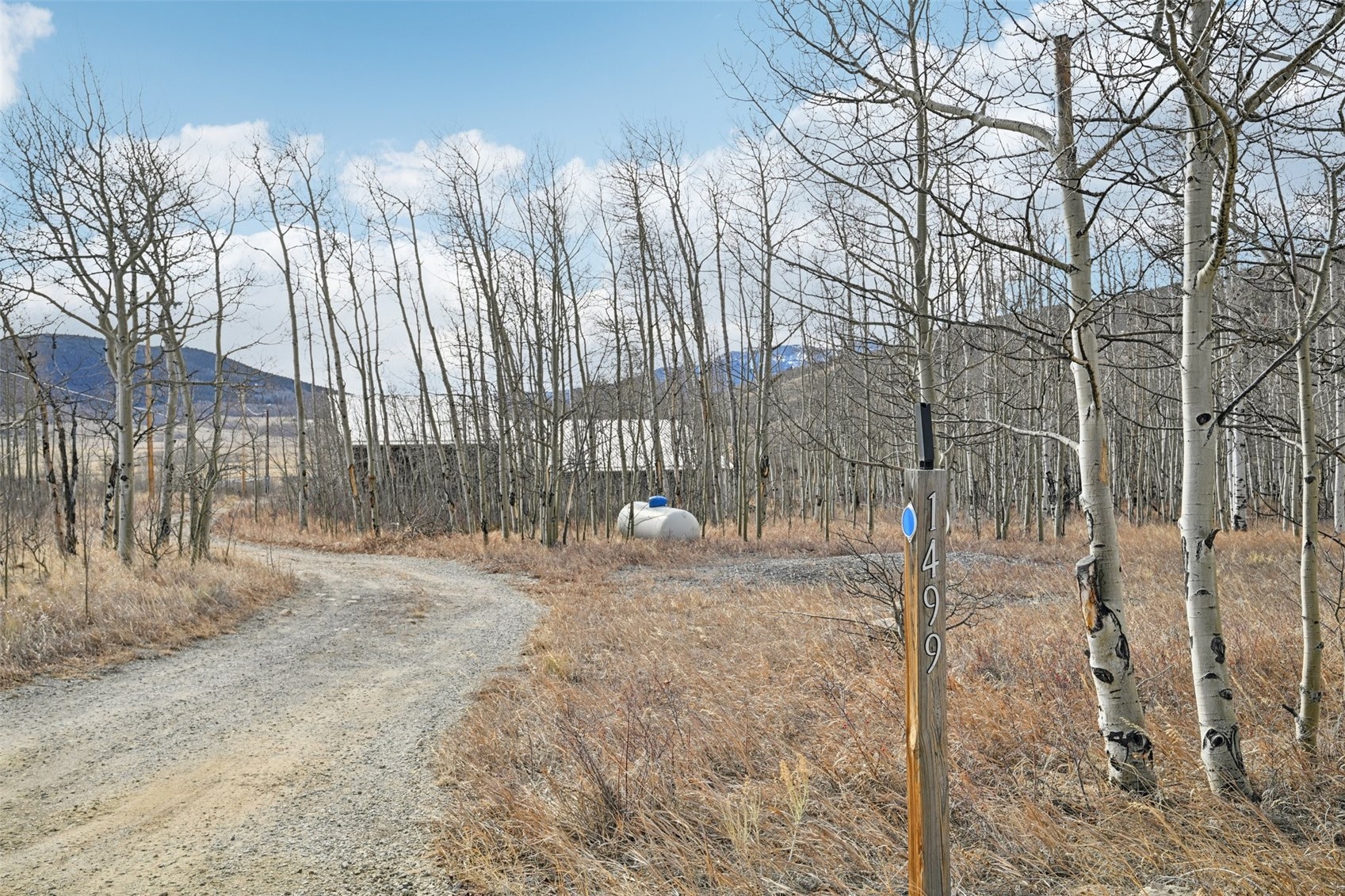 1499 Sheep Ridge Road Fairplay CO 80440