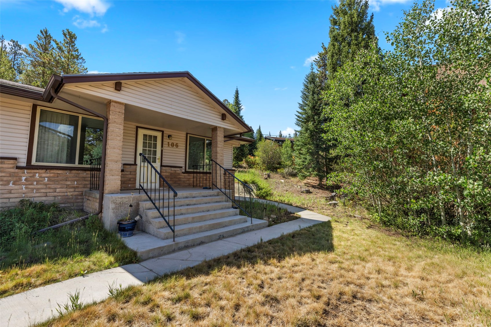 106 Cottonwood Drive Dillon CO 80435