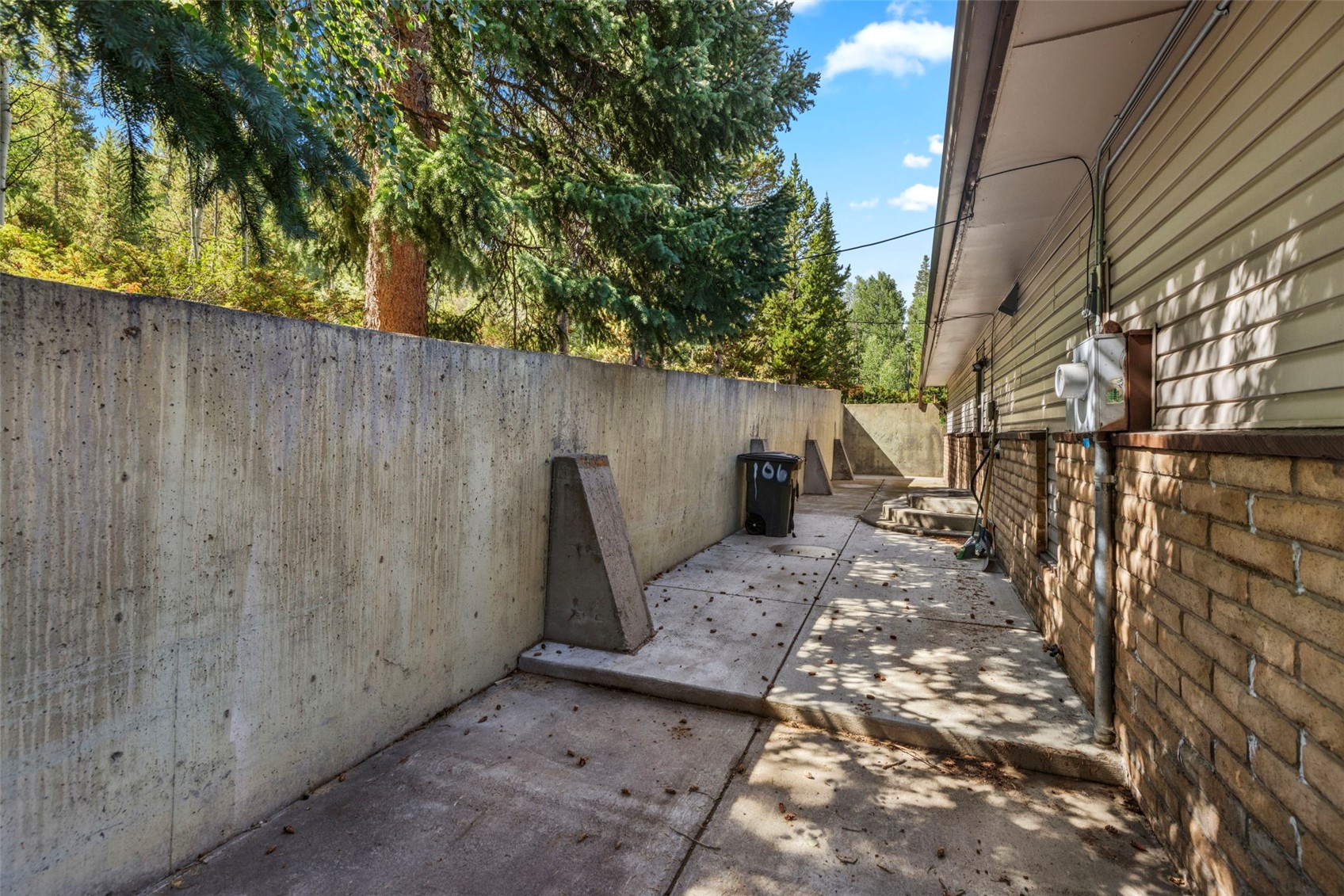 106 Cottonwood Drive Dillon CO 80435