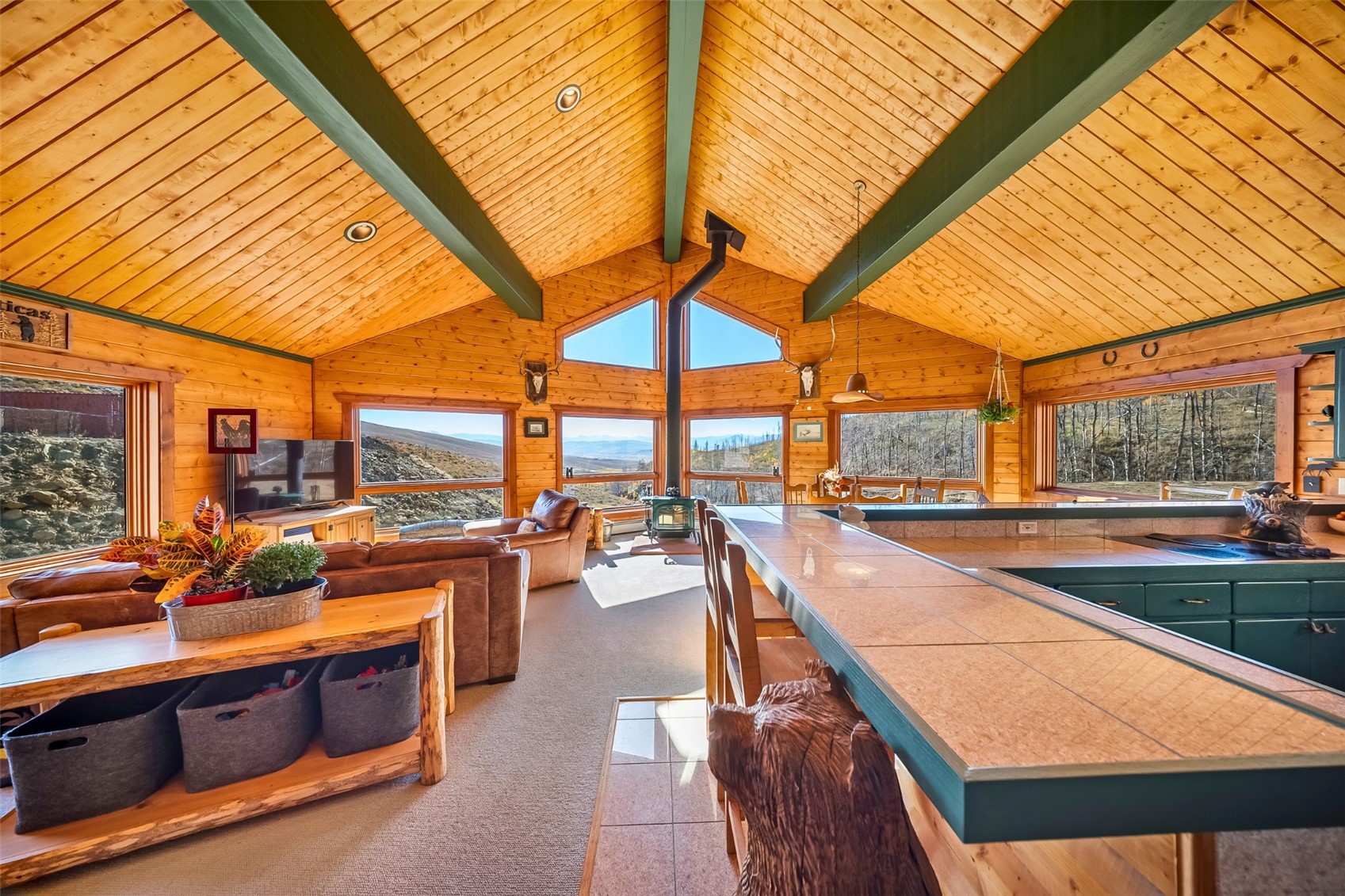 1893 Csh 125 Granby CO 80446