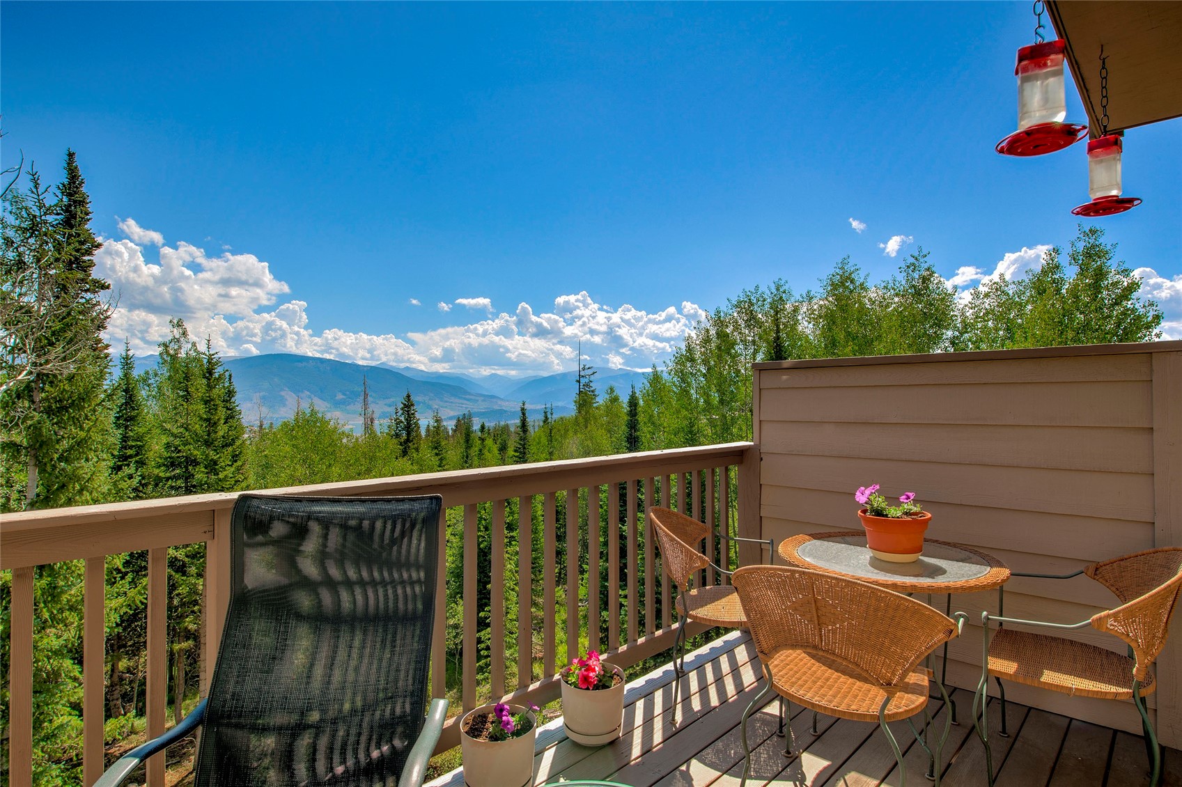 61 Bashore Court Silverthorne CO 80498