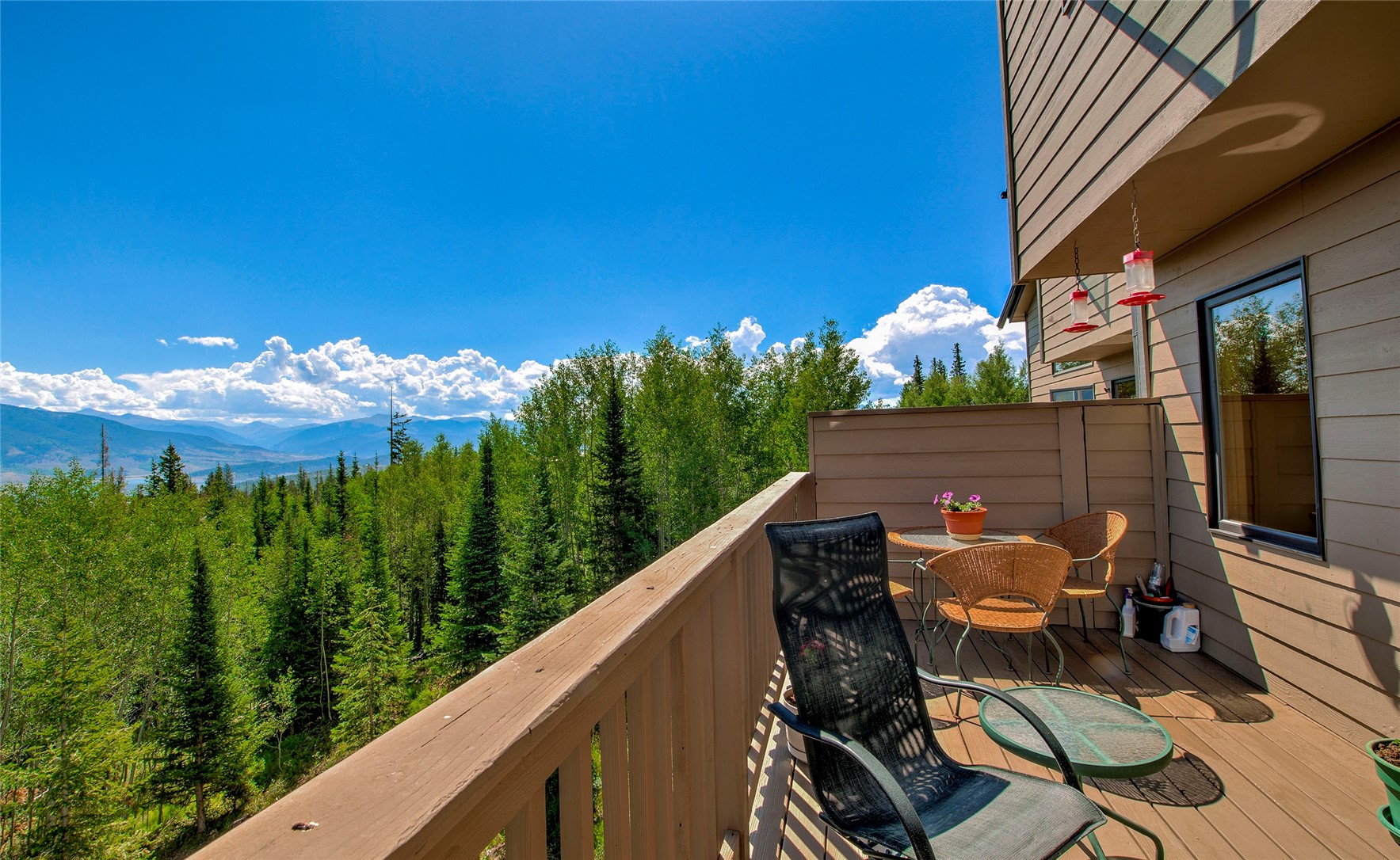 61 Bashore Court Silverthorne CO 80498