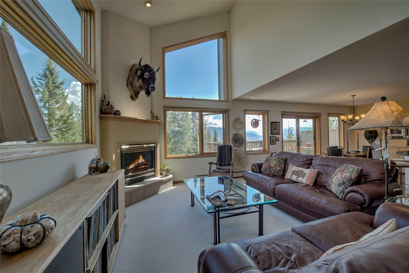 61 Bashore Court Silverthorne CO 80498