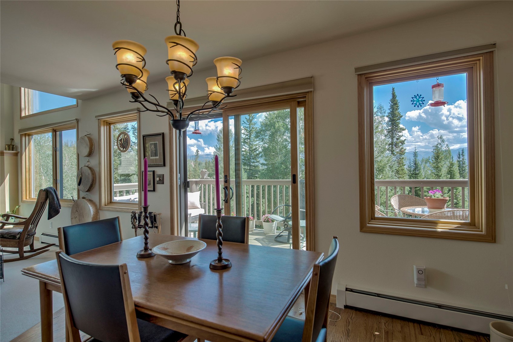 61 Bashore Court Silverthorne CO 80498