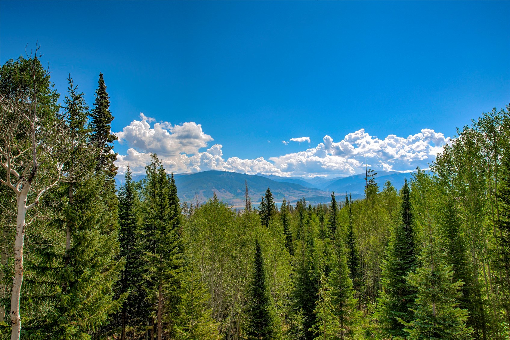 61 Bashore Court Silverthorne CO 80498