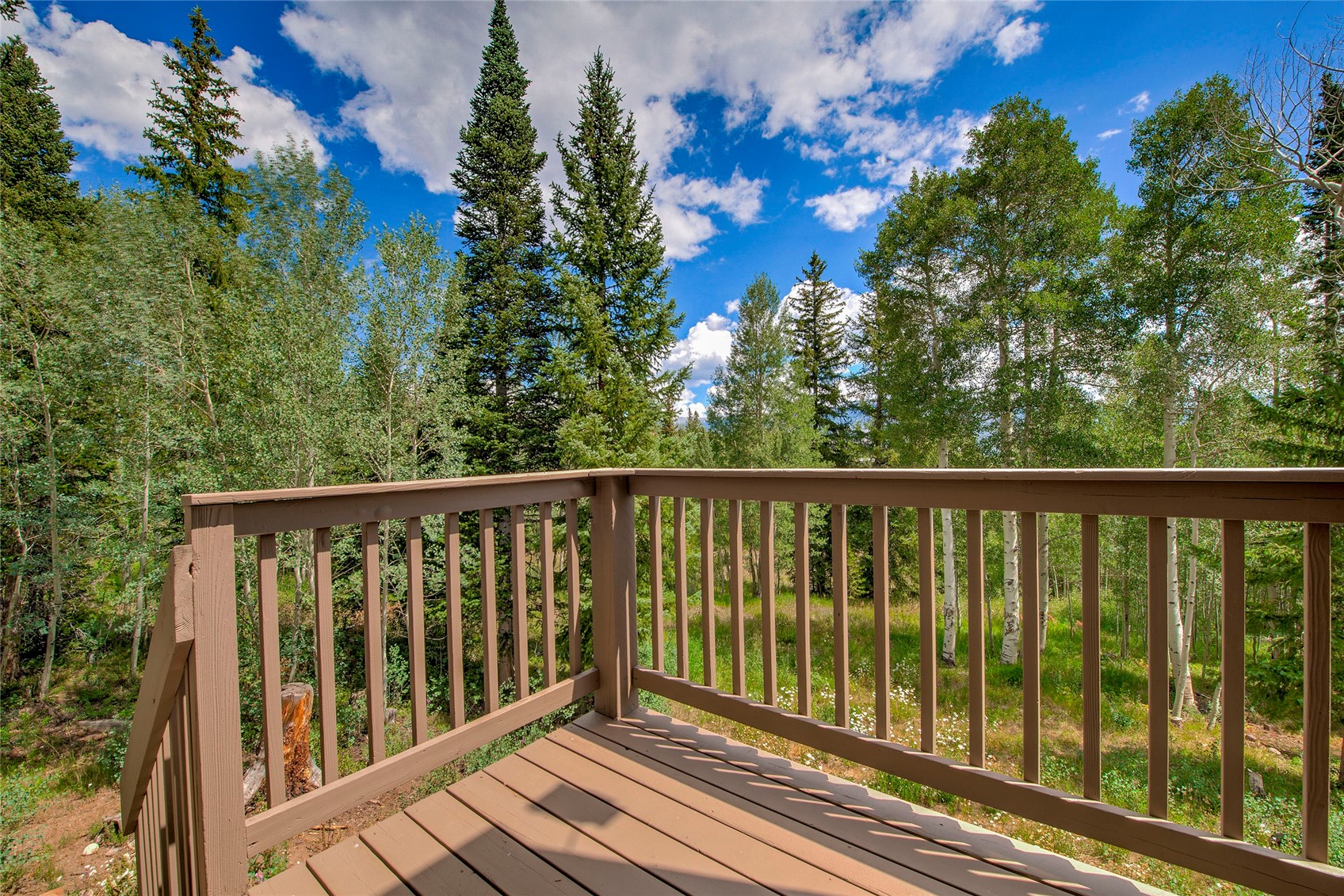 61 Bashore Court Silverthorne CO 80498