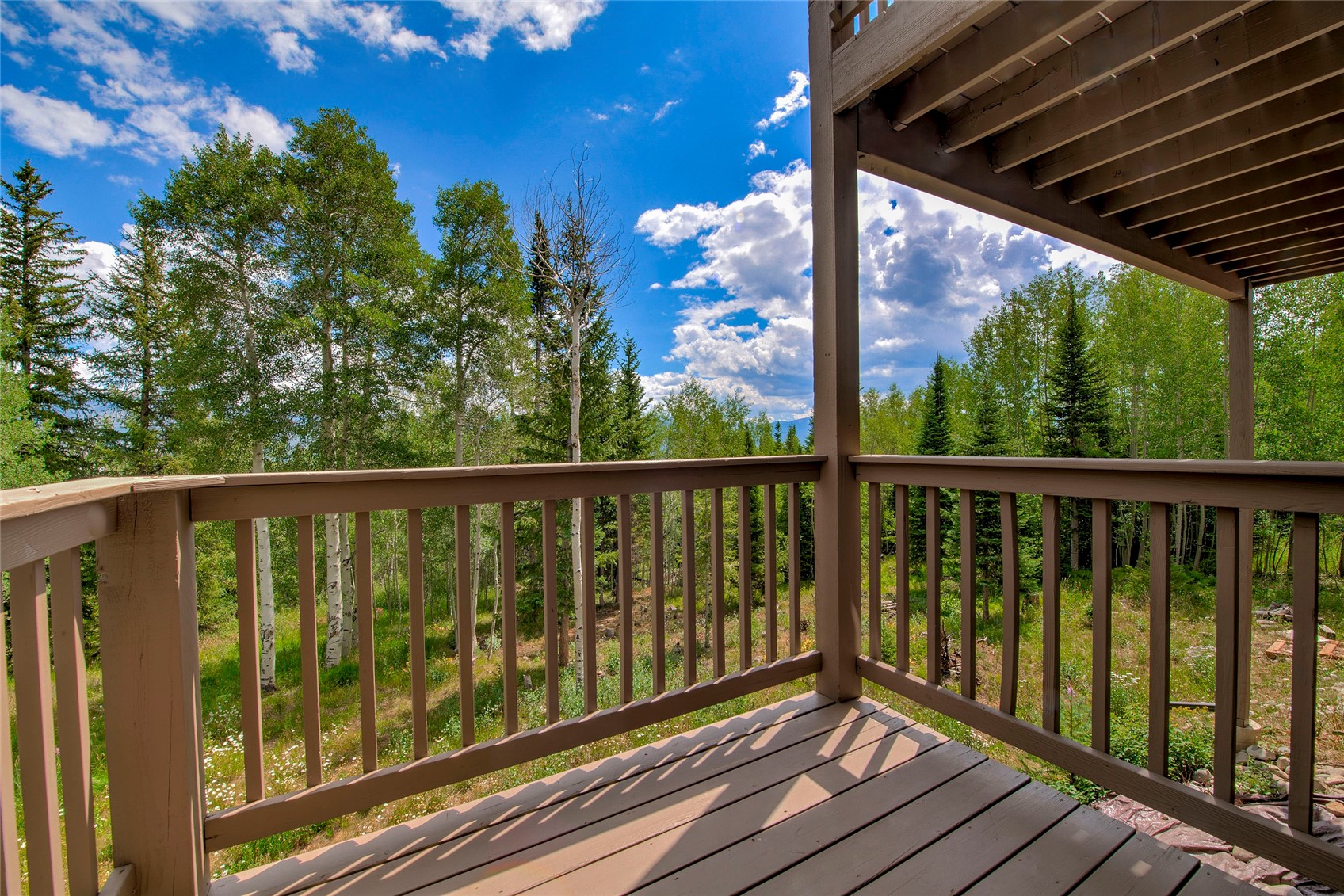61 Bashore Court Silverthorne CO 80498